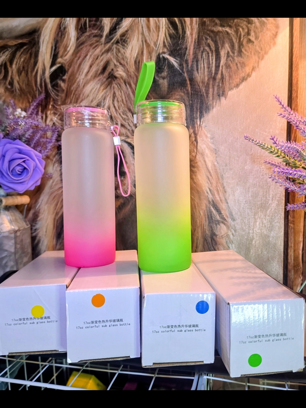 Set Of 5 Ombre Sublimation Frosted Glass Water Bottle Bundle